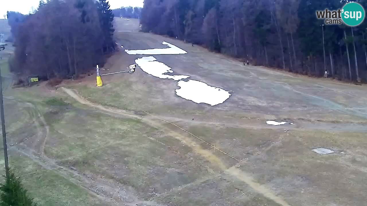 Web Camera Pohorje Trikotna Jasa | Poštela