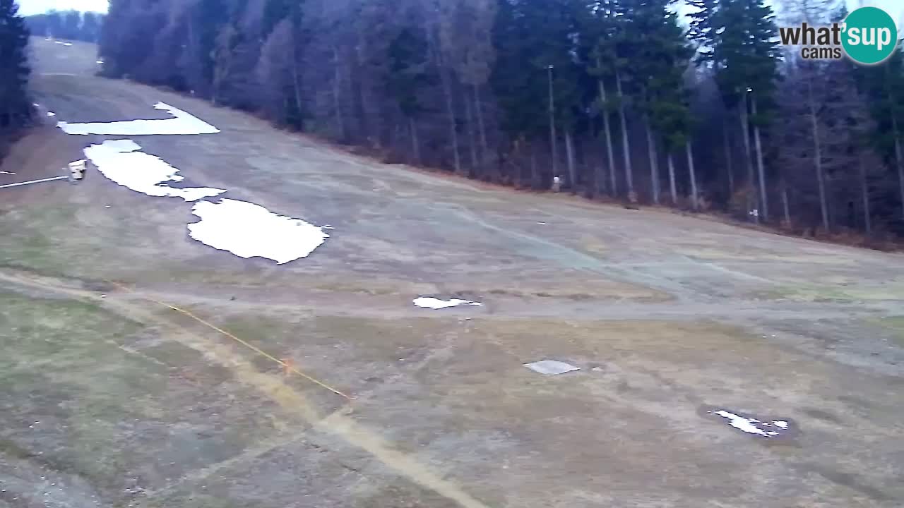 Spletna Kamera Pohorje Trikotna Jasa | Poštela