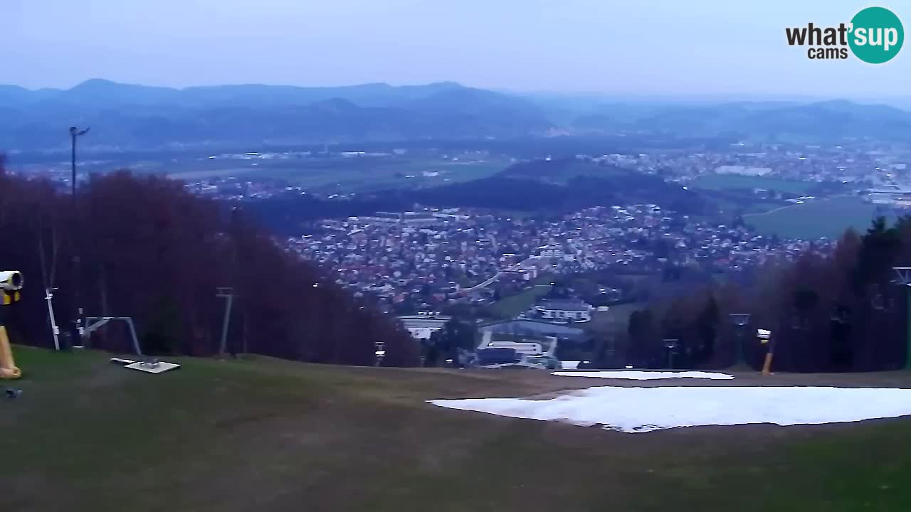 Web kamera Pohorje Trikotna Jasa | Poštela