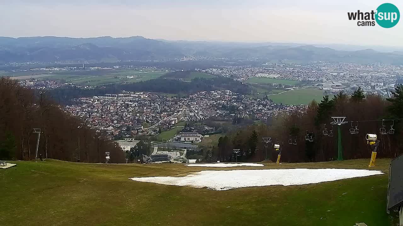 Web Camera Pohorje Trikotna Jasa | Poštela