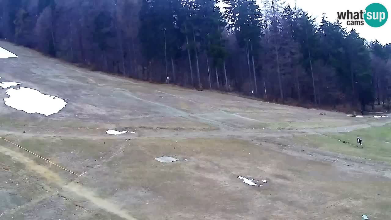 Webcam Pohorje Trikotna Jasa | Poštela