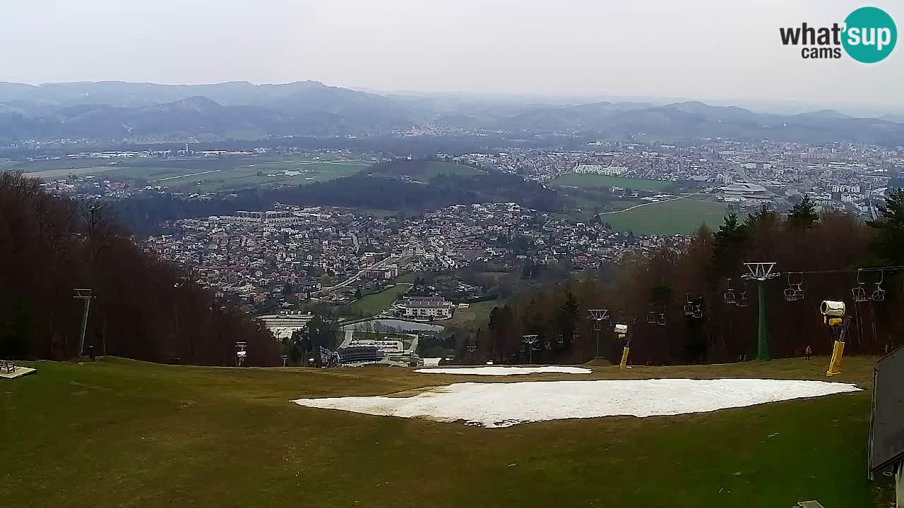 Web Camera Pohorje Trikotna Jasa | Poštela