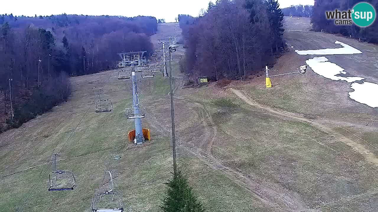 Webcam Pohorje Trikotna Jasa | Poštela