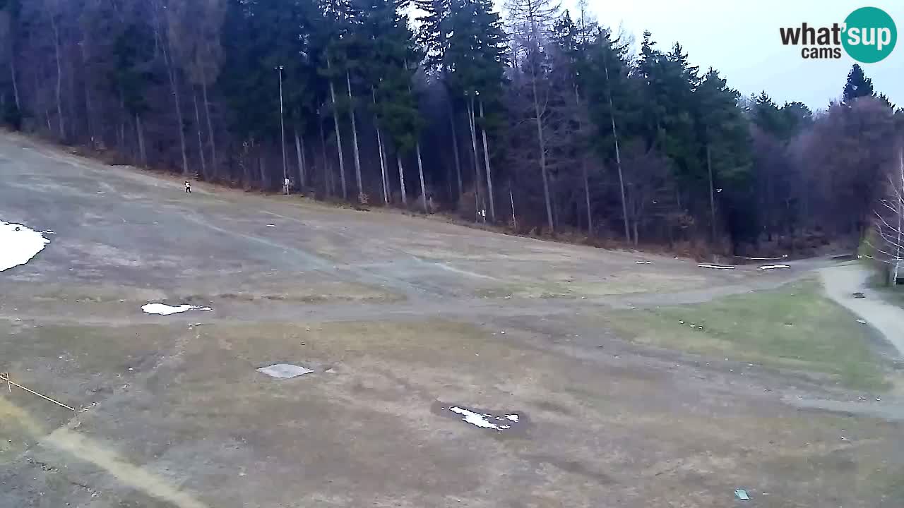 Web Camera Pohorje Trikotna Jasa | Poštela