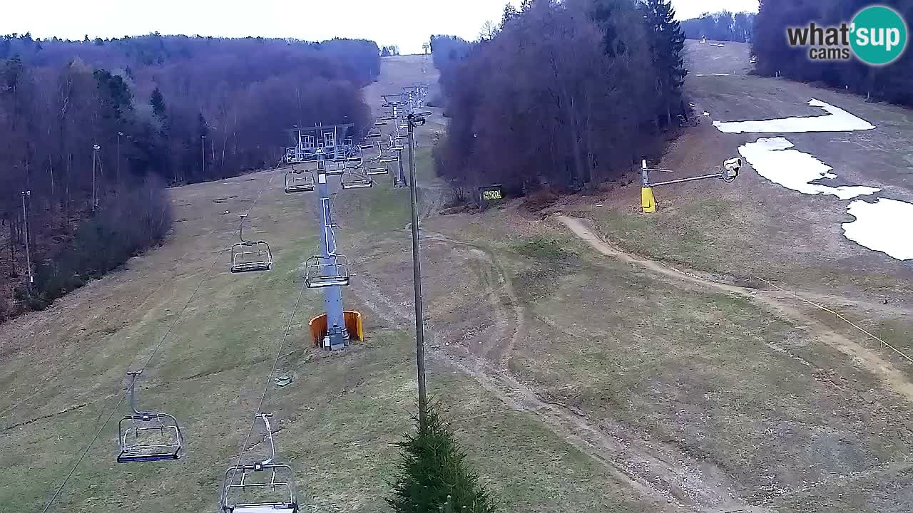 Web kamera Pohorje Trikotna Jasa | Poštela