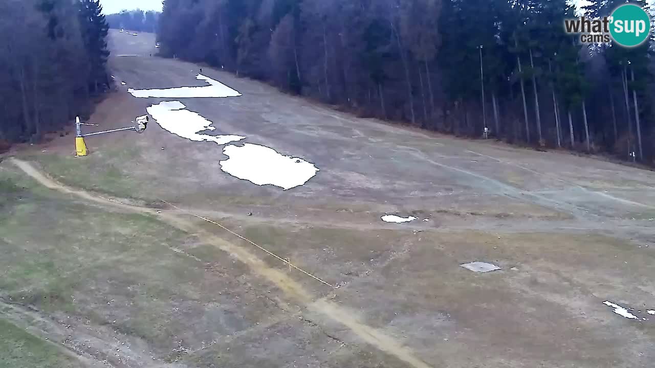 Webcam Pohorje Trikotna Jasa | Poštela