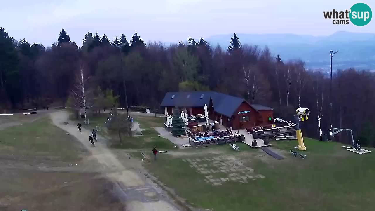 Webcam Pohorje Trikotna Jasa | Poštela