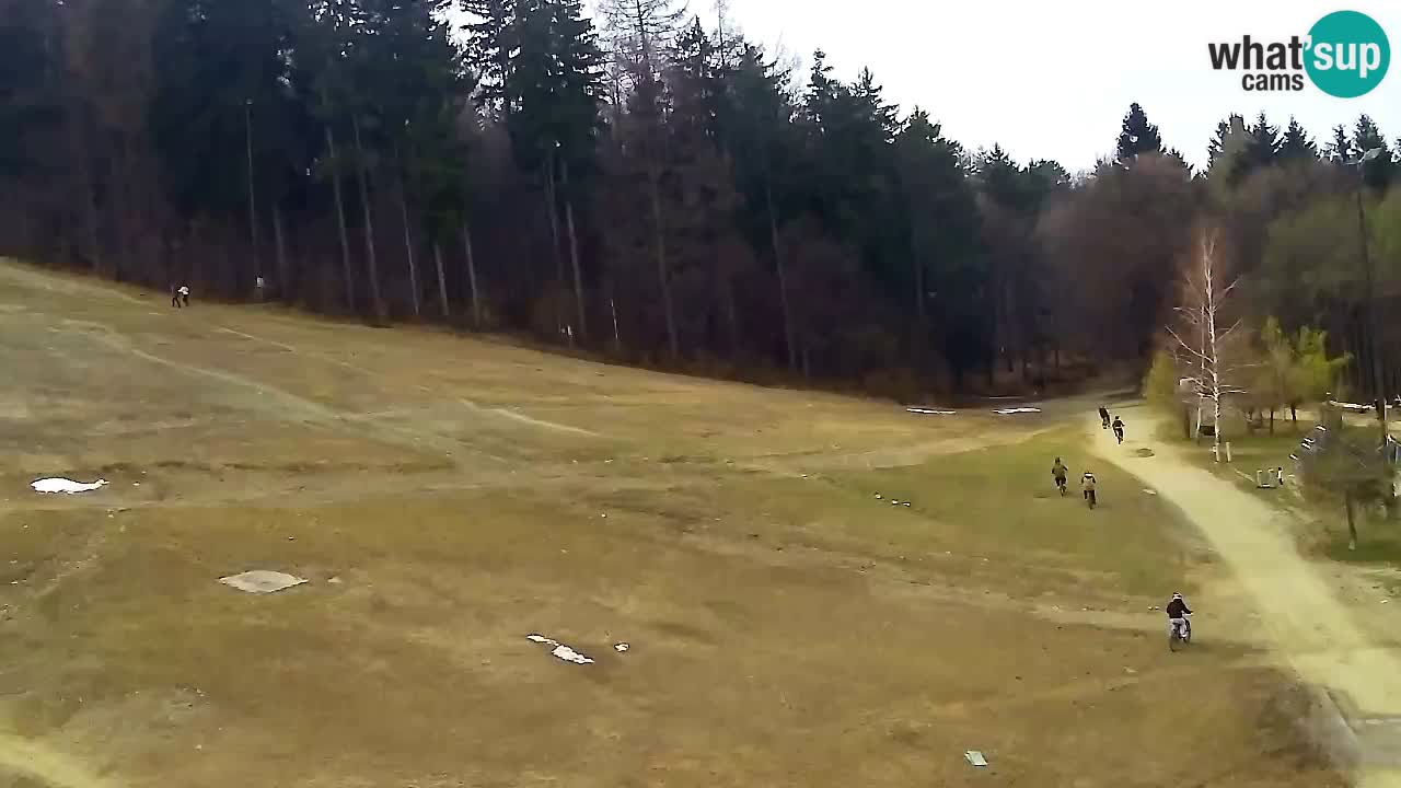 Webcam Pohorje Trikotna Jasa | Poštela