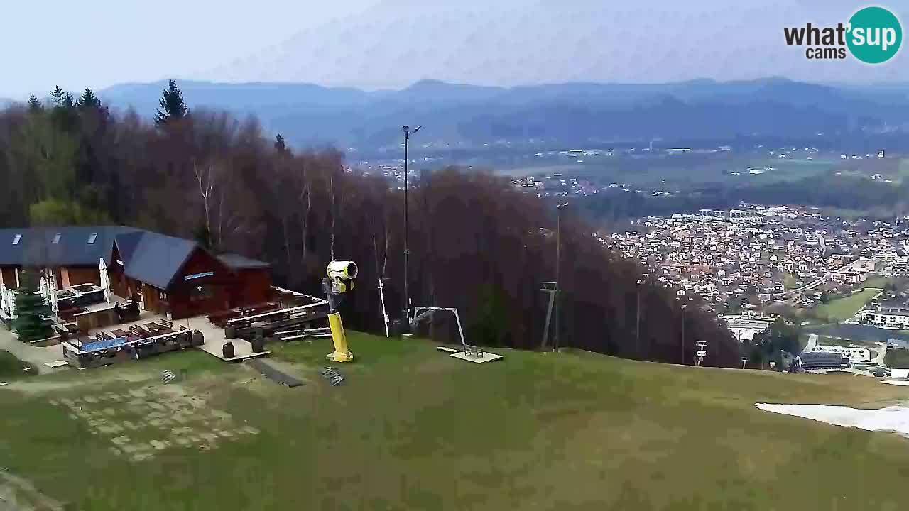 Webcam Pohorje Trikotna Jasa | Poštela