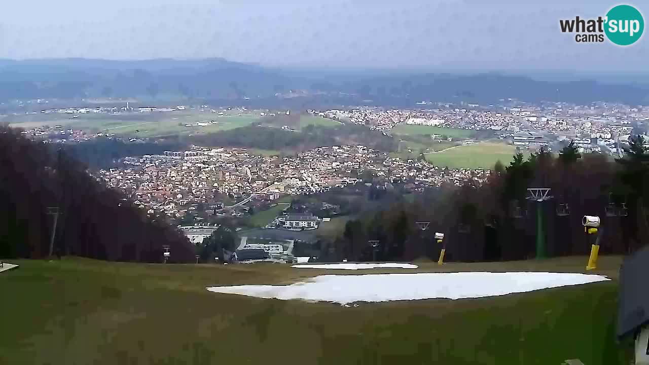 Webcam Pohorje Trikotna Jasa | Poštela