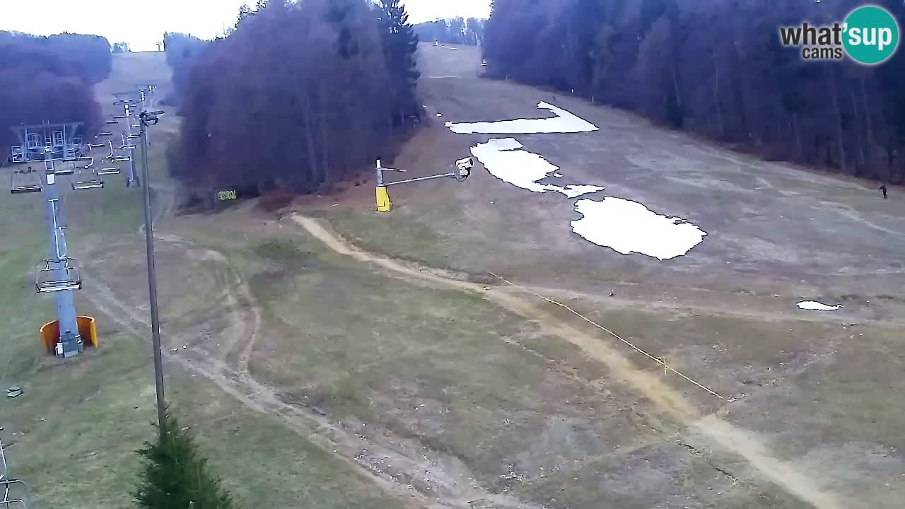 Web Camera Pohorje Trikotna Jasa | Poštela