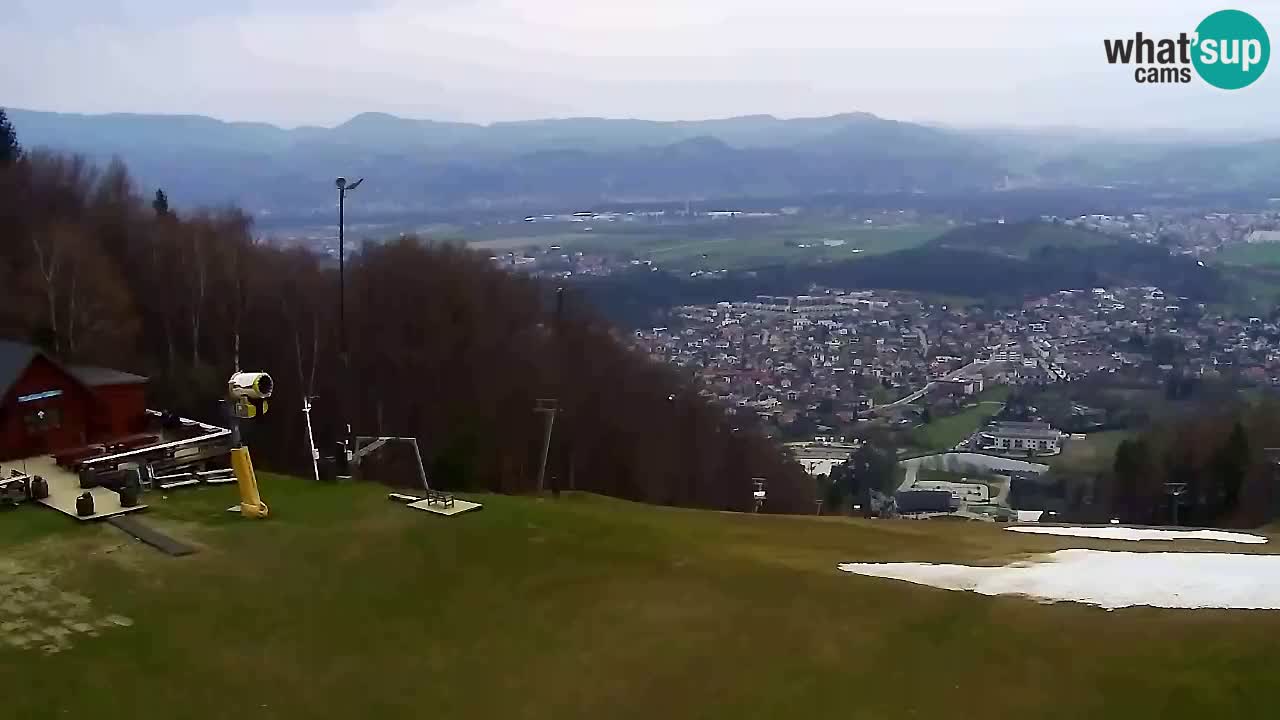 Webcam Pohorje Trikotna Jasa | Poštela
