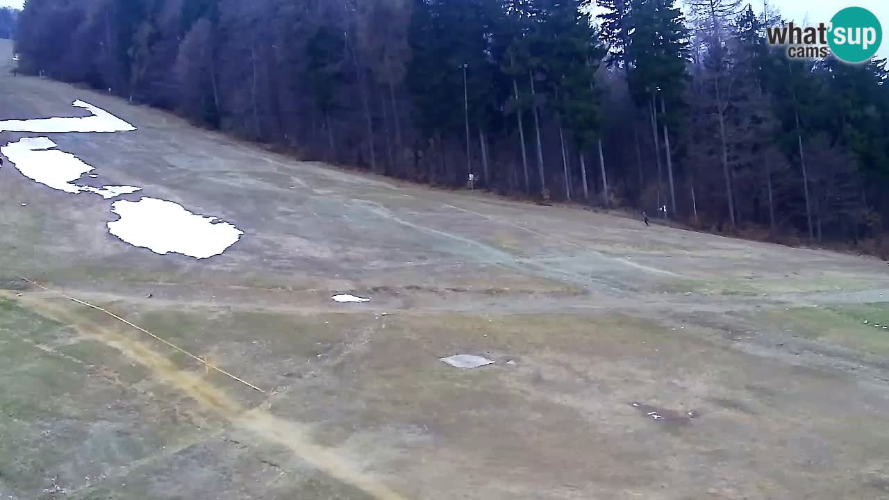 Web Camera Pohorje Trikotna Jasa | Poštela