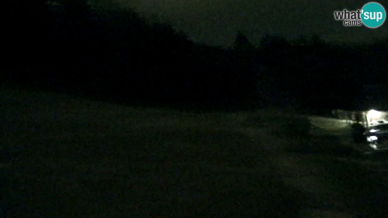 Webcam Pohorje Trikotna Jasa | Poštela