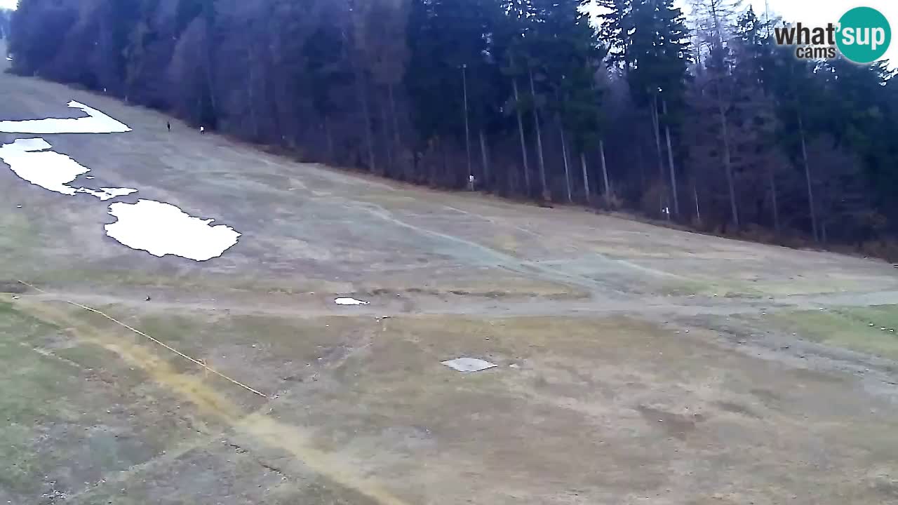 Webcam Pohorje Trikotna Jasa | Poštela