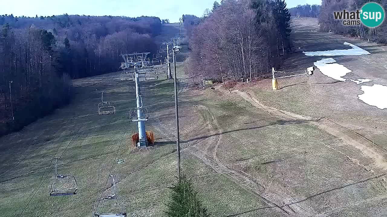 Webcam Pohorje Trikotna Jasa | Poštela