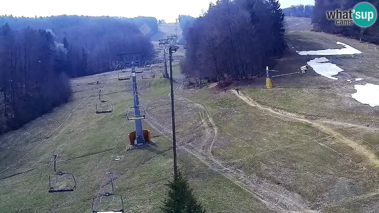 Webcam Pohorje Trikotna Jasa | Poštela