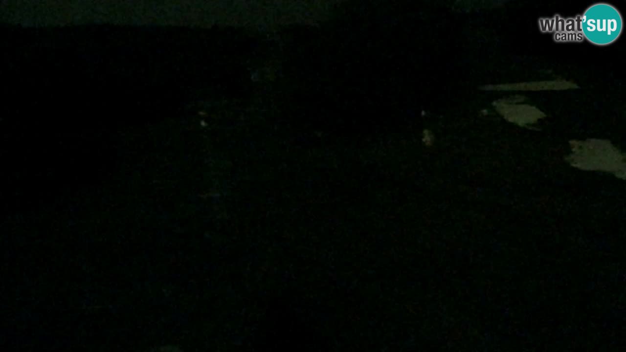 Spletna Kamera Pohorje Trikotna Jasa | Poštela