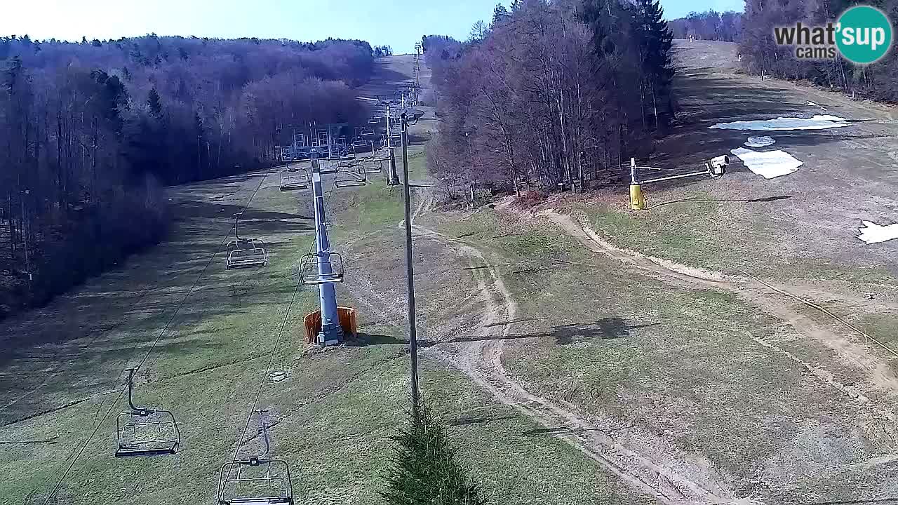 Webcam Pohorje Trikotna Jasa | Poštela
