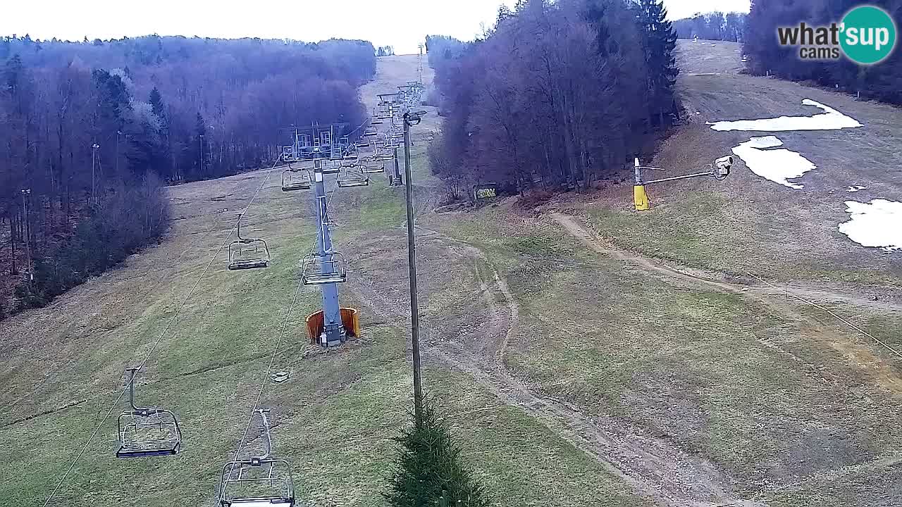 Webcam Pohorje Trikotna Jasa | Poštela