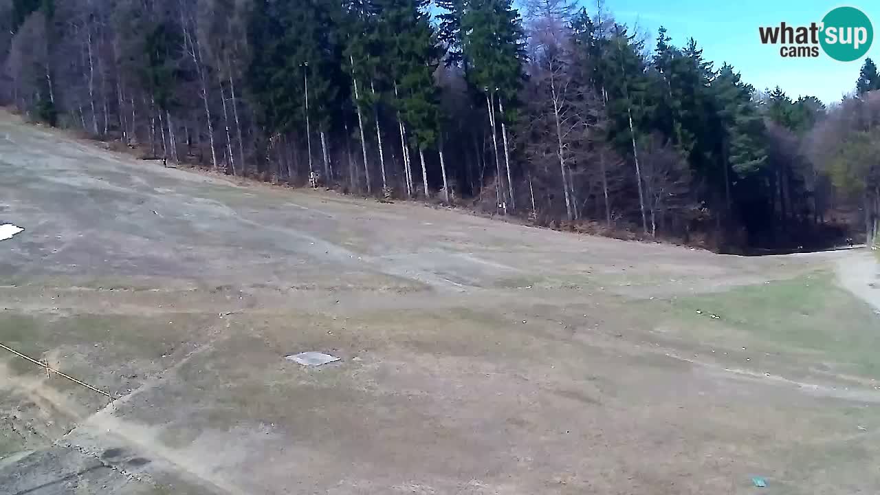 Webcam Pohorje Trikotna Jasa | Poštela