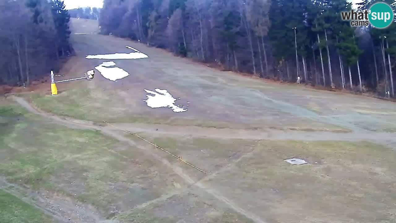 Webcam Pohorje Trikotna Jasa | Poštela