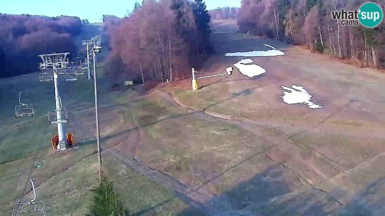 Web kamera Pohorje Trikotna Jasa | Poštela