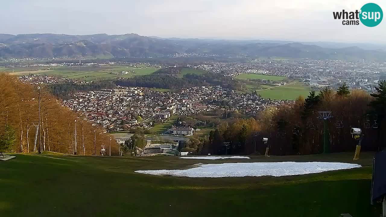 Webcam Pohorje Trikotna Jasa | Poštela