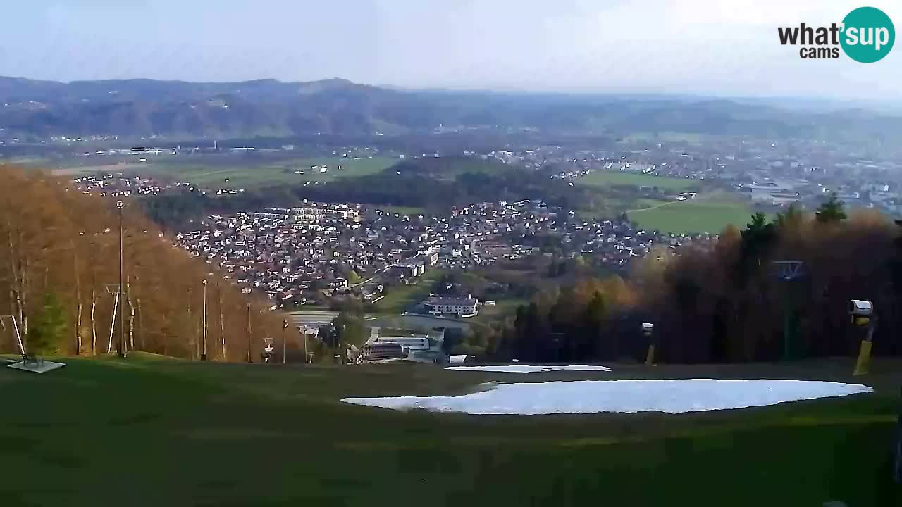 Webcam Pohorje Trikotna Jasa | Poštela