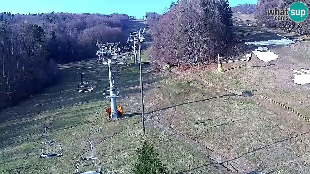 Webcam Pohorje Trikotna Jasa | Poštela