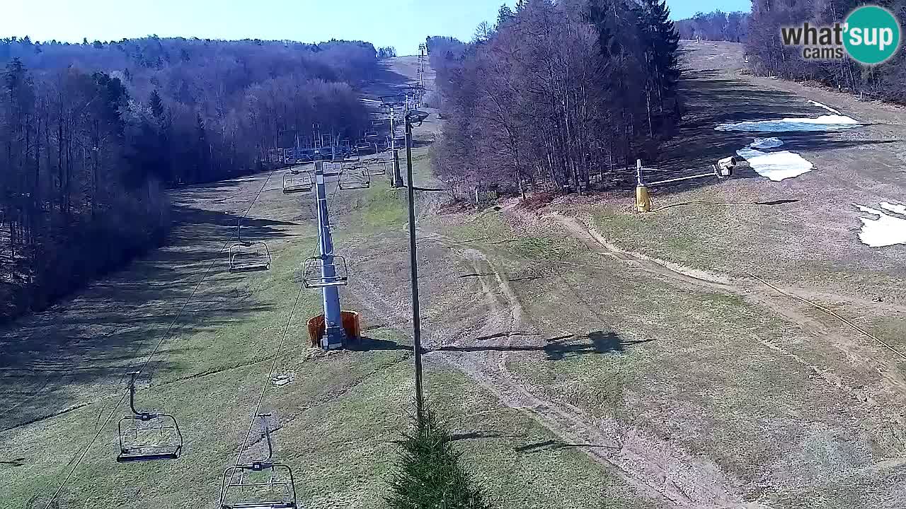 Webcam Pohorje Trikotna Jasa | Poštela