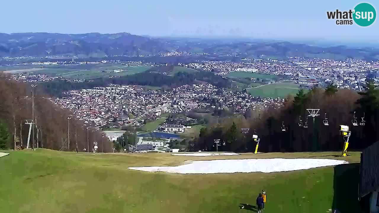 Web Camera Pohorje Trikotna Jasa | Poštela