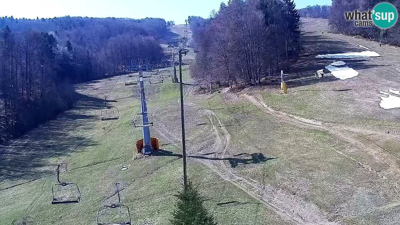 Webcam Pohorje Trikotna Jasa | Poštela