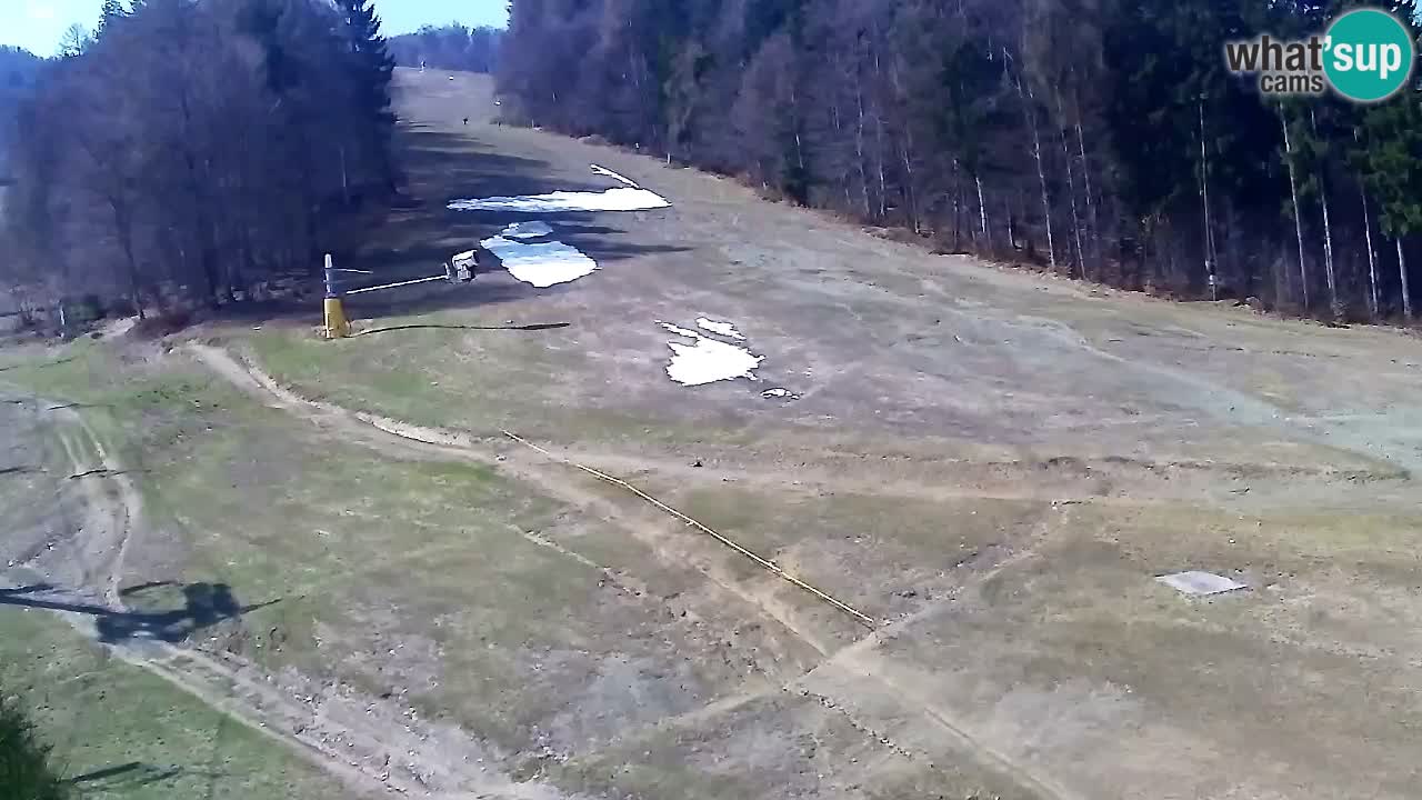 Webcam Pohorje Trikotna Jasa | Poštela