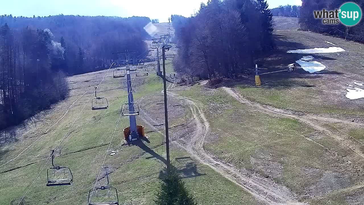 Webcam Pohorje Trikotna Jasa | Poštela