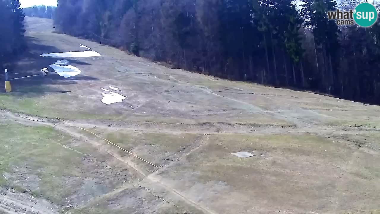 Webcam Pohorje Trikotna Jasa | Poštela