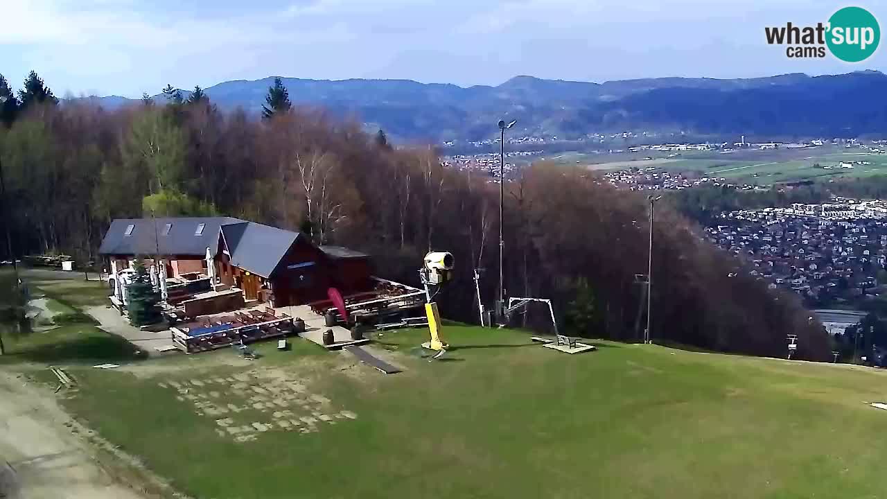 Webcam Pohorje Trikotna Jasa | Poštela