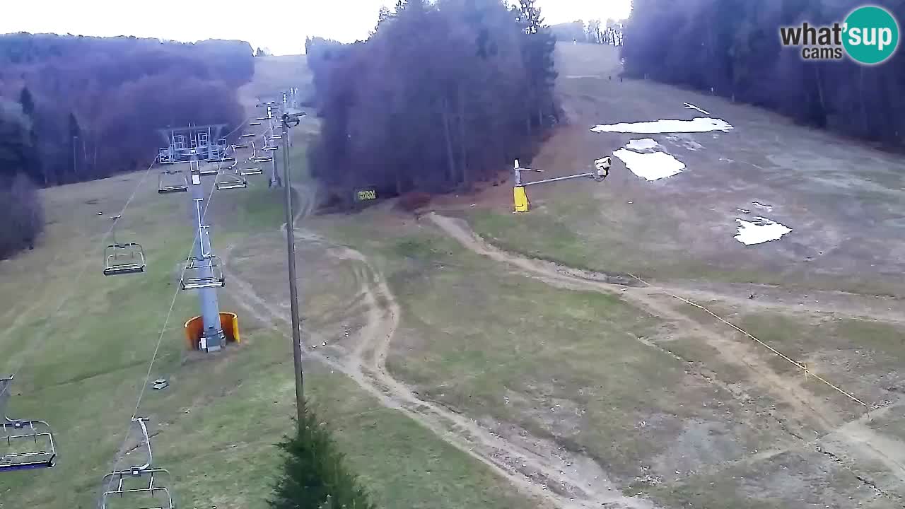 Webcam Pohorje Trikotna Jasa | Poštela