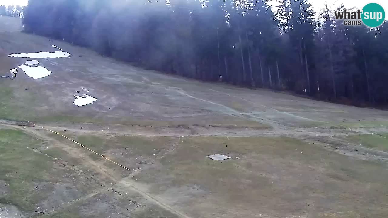 Webcam Pohorje Trikotna Jasa | Poštela