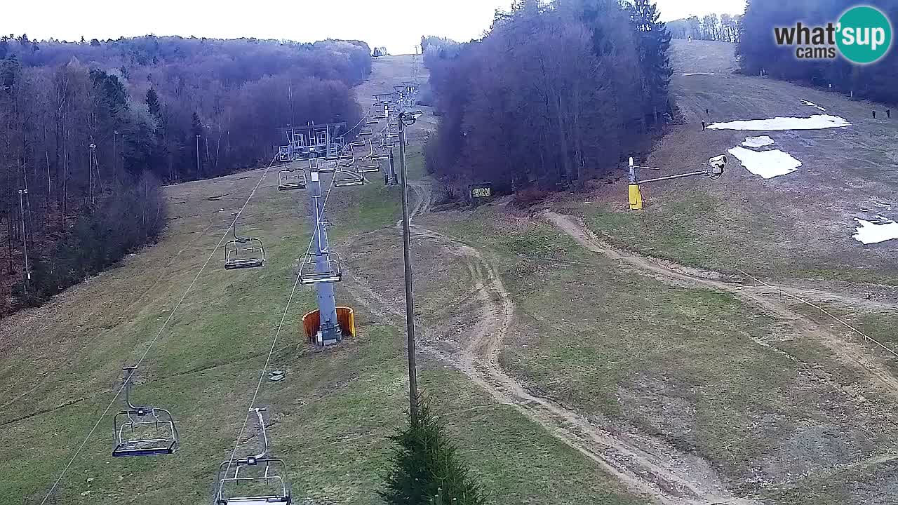 Webcam Pohorje Trikotna Jasa | Poštela