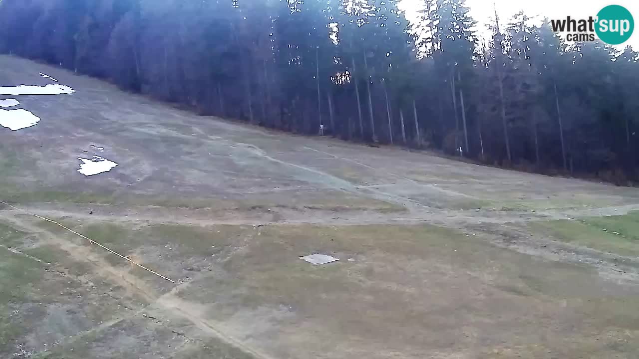 Web Camera Pohorje Trikotna Jasa | Poštela