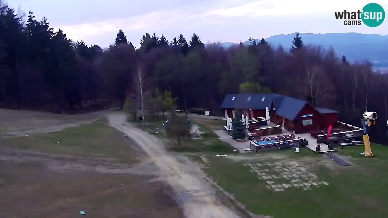 Webcam Pohorje Trikotna Jasa | Poštela