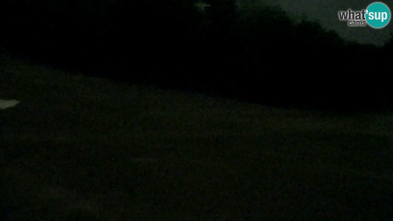 Webcam Pohorje Trikotna Jasa | Poštela