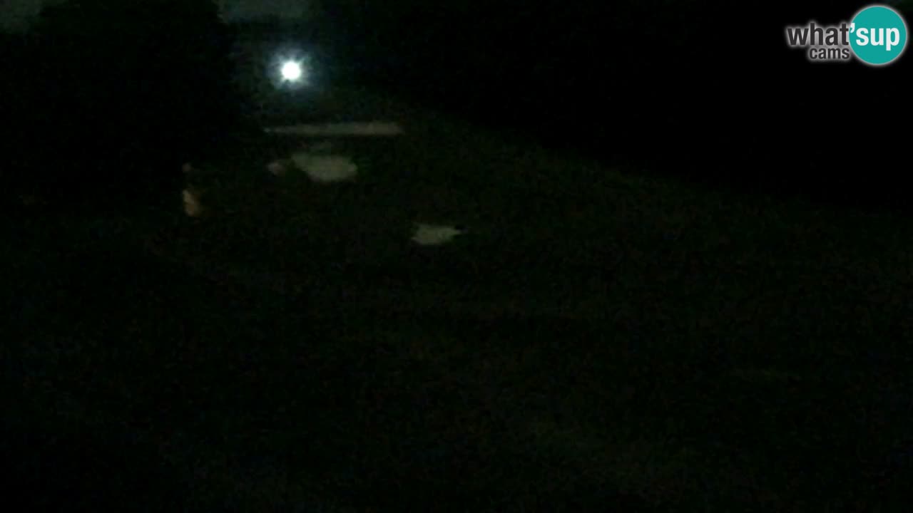 Spletna Kamera Pohorje Trikotna Jasa | Poštela