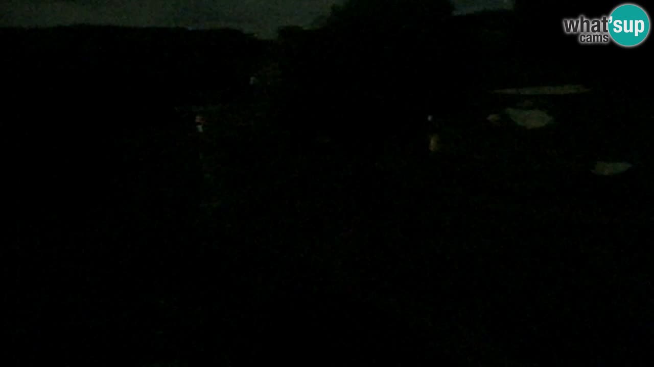 Web Camera Pohorje Trikotna Jasa | Poštela