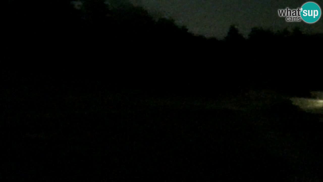 Webcam Pohorje Trikotna Jasa | Poštela