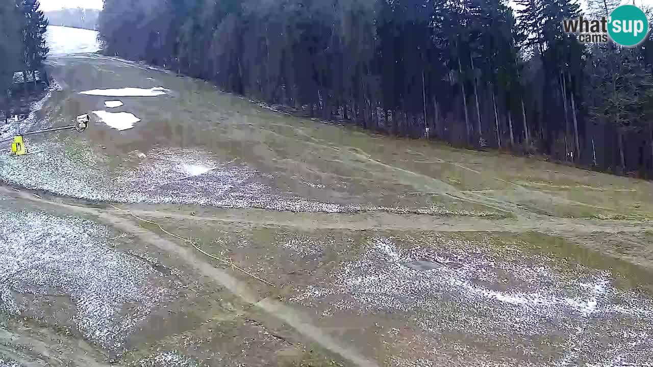 Webcam Pohorje Trikotna Jasa | Poštela