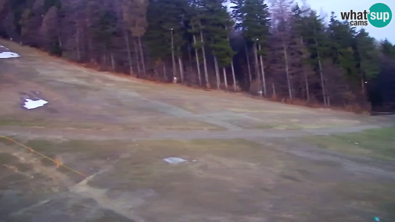 Web Camera Pohorje Trikotna Jasa | Poštela