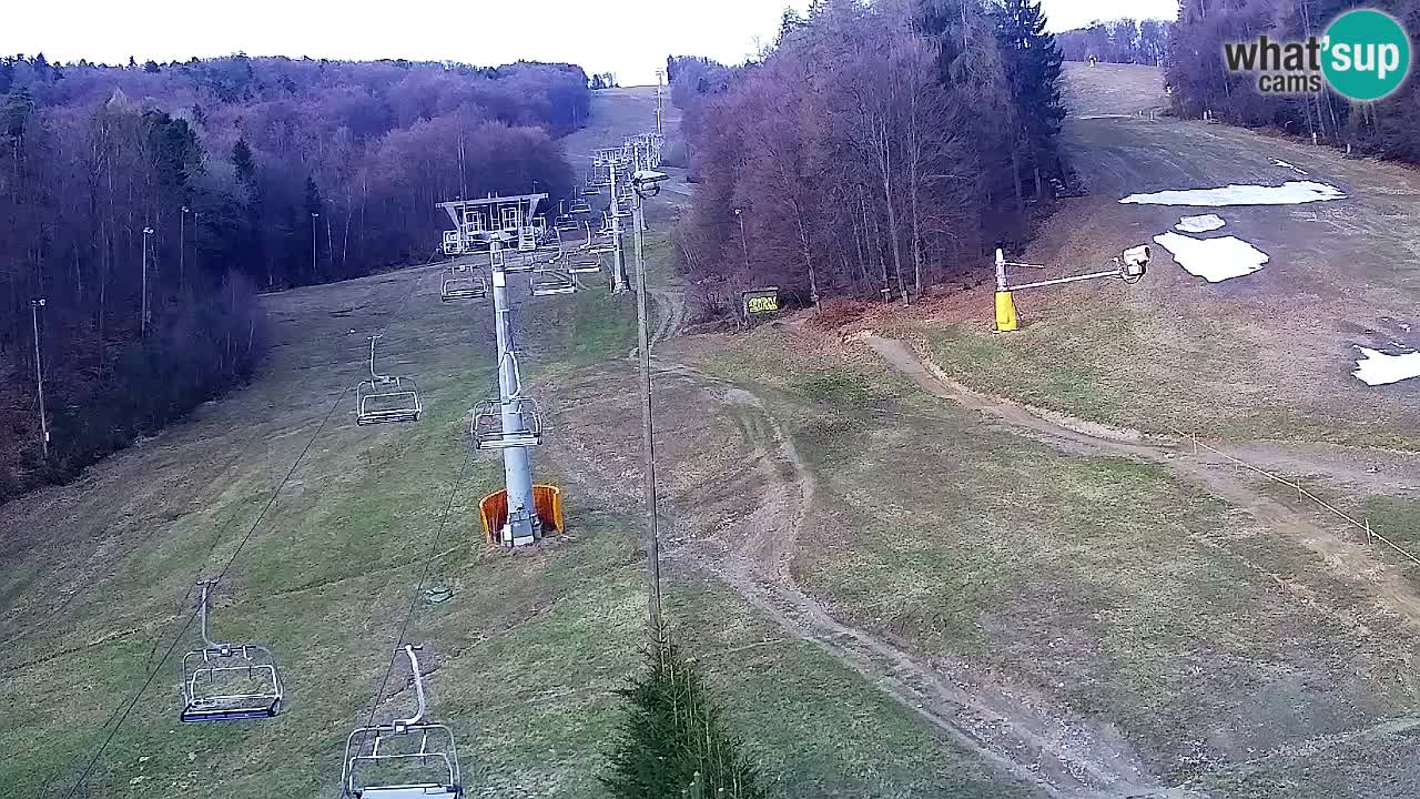 Web Camera Pohorje Trikotna Jasa | Poštela