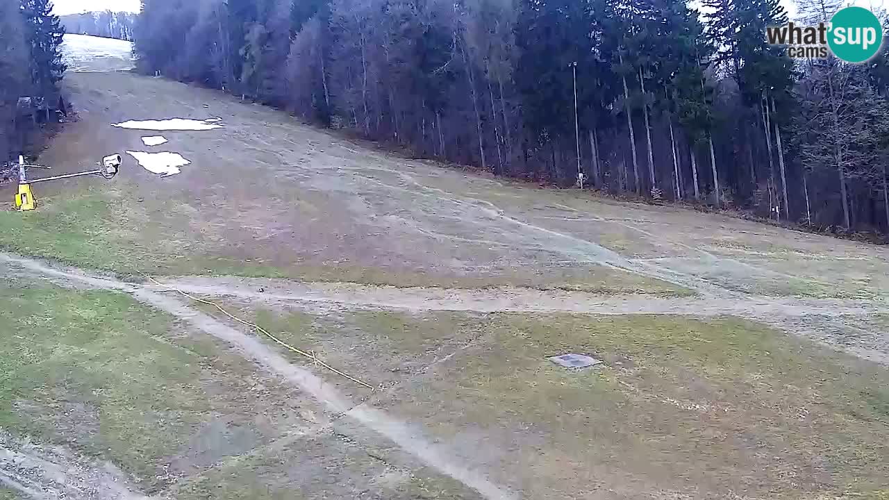 Webcam Pohorje Trikotna Jasa | Poštela